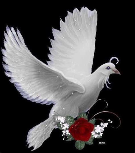1000 Images About Holy Spirit Doves On Pinterest Holy Ghost The