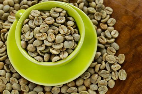 Your question will be posted publicly on the questions & answers page. Does Green Coffee Bean Extract Work? ~ Anabolicco