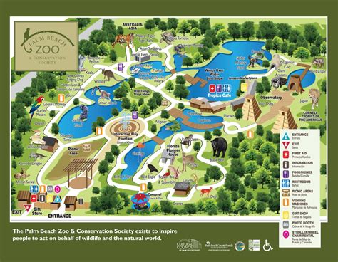 26 Lowry Park Zoo Map Online Map Around The World