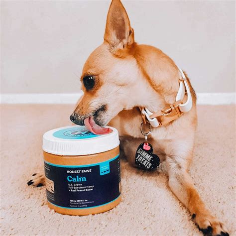 Calm Peanut Butter For Dogs Honest Paws