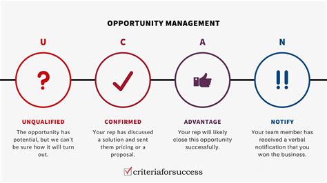 7 Step Sales Process Template Criteria For Success