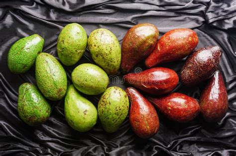 Colorful Fresh Ripe Avocados On Black Background Healthy Food Stock
