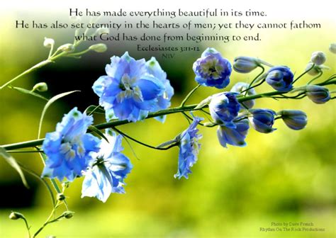 The words bible scriptures bible quotes faith bible unity quotes wisdom bible sf wallpaper wallpaper bible wallpaper gallery. Spring Wallpaper With Bible Verses | Image Wallpapers HD