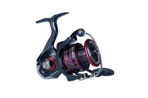 Daiwa Ballistic Mq Lt D C