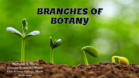 Branches Of Botany Plant Science By Yagnik Sir Youtube