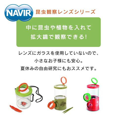 【楽天市場】3d昆虫観察レンズプラス Navia ナヴィア 自然観察 拡大鏡 2倍 4倍 レンズ 顕微鏡 虫 昆虫 虫捕り 昆虫採集 自由研究