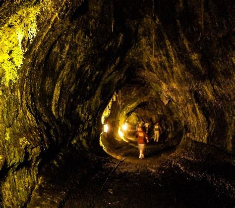 Nahuku The 500 Year Old Lava Cave Known As Thurston Lava Tube On