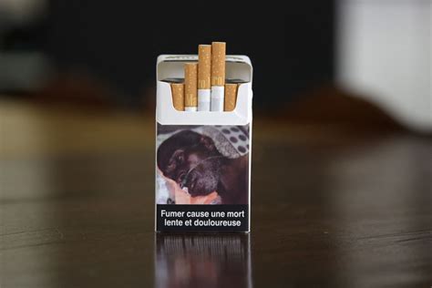 Tobacco Cigarette Packets To Come With New Health Warnings Soon Check