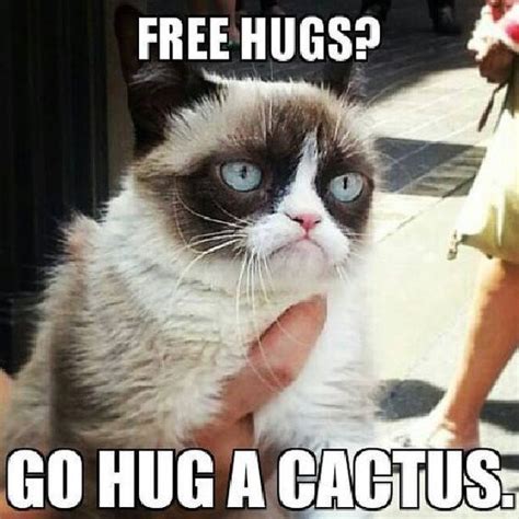 15 Of The Best Grumpy Cat Memes Rest In Peace Mamas Geeky