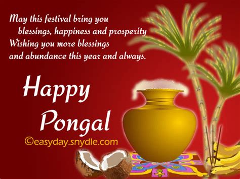 Pongal Wishes Messages And Pongal Greetings Easyday