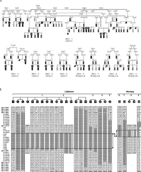 We did not find results for: Familial generalized lipodystrophy | Semantic Scholar