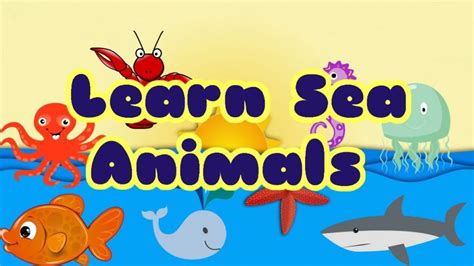 Lets Learn Sea Animals For Children Youtube