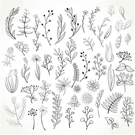 Set Of 50 Doodle Botanical Elements Png Doodle Floral Etsy