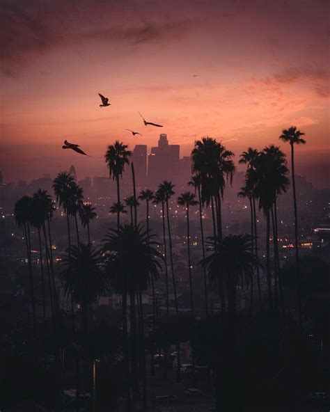 Los Angeles Sunset Wallpapers 4k Hd Los Angeles Sunset Backgrounds