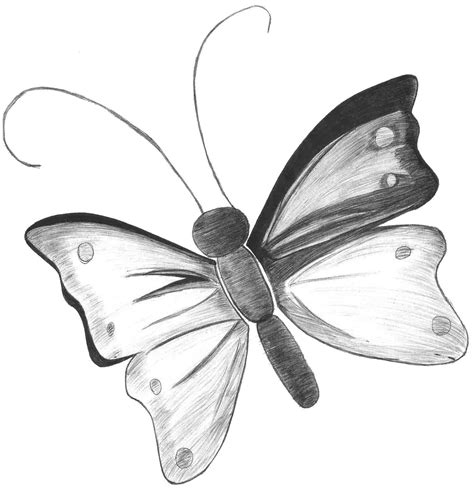 Dibujos A Lápiz De Mariposas Dibujos A Lápiz