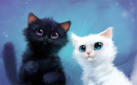Download Cute Animals Cartoon White And Black Kitten Wallpaper