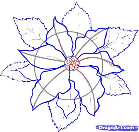 How To Draw A Poinsettia Step 4 Watercolor Christmas Cards Christmas
