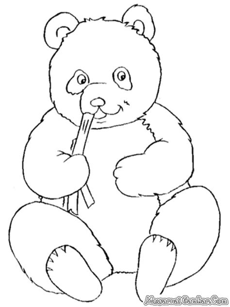 Gambar Mewarnai Hewan Panda Kumpulan Gambar Mewarnai Untuk Anak