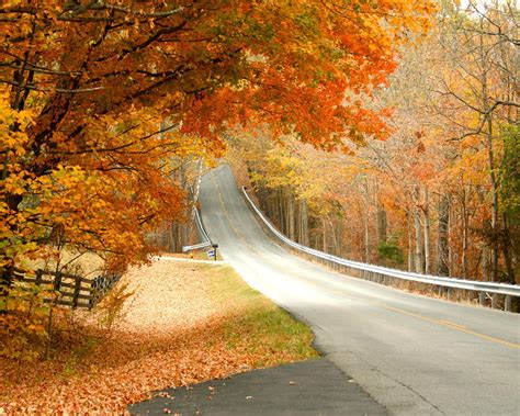 Fall In Kentucky Photograph By Sylvia Hart