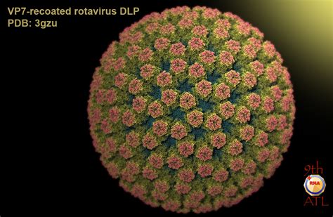 Virusworld Rotavirus Dlp Vp7 Recoated