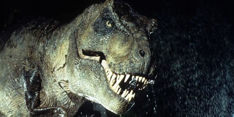 T Rex Were Sensitive While Mating According To A New Discovery