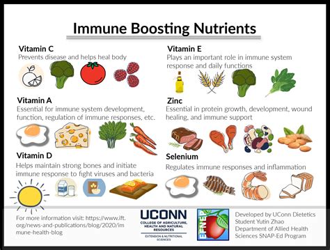 Immune Boosting Nutrients Immune Support Vitamins Food Resources