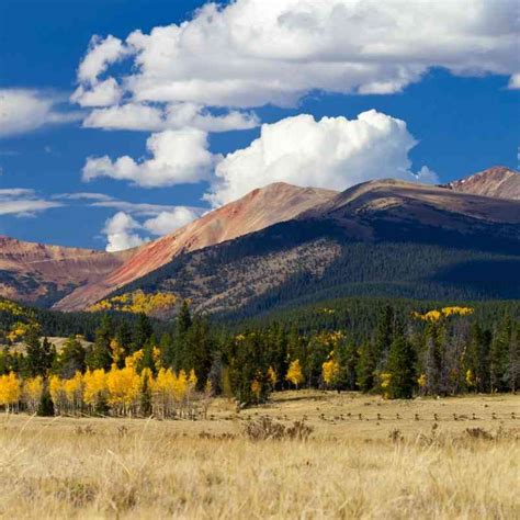 Rocky Mountains And Great Plains Defenders Of Wildlife