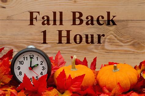Spring Forward Fall Back Enjoy Your Extra Hour Of Sleep And Dont