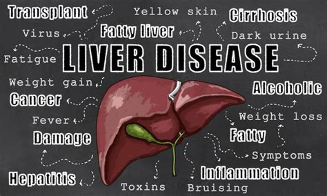 Symptoms Of Liver Disease Health Babamail