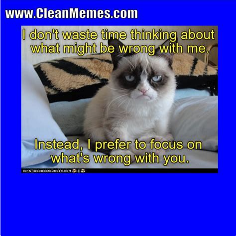 Fat cats may look a little unhealthy. Pin by Clean Memes on Clean Memes | Cat memes clean, Cat memes, Clean memes