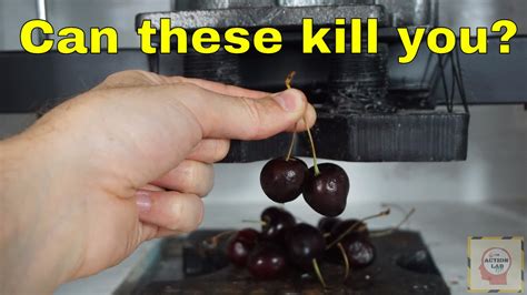 Can Eating Two Cherries Kill You Crushing Cyanide Out Of Cherries With A Hydraulic Press Youtube