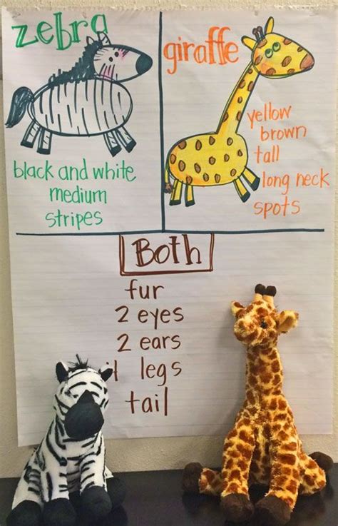 Animal-anchor-chart | Zoo preschool, Preschool zoo theme, Zoo animals