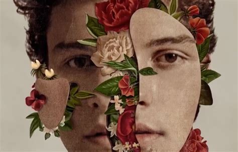Fans Are Calling Out Shawn Mendes New Album Artwork For