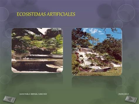 Ecosistema Artificial Definicion Caracteristicas Tipos Y Ejemplos Images