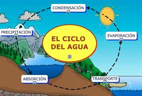 El Ciclo Del Agua Para Niños Fases Infografias Información Imágenes
