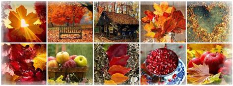 Autumn Collage Facebook Cover Photo Fall Facebook Cover Photos