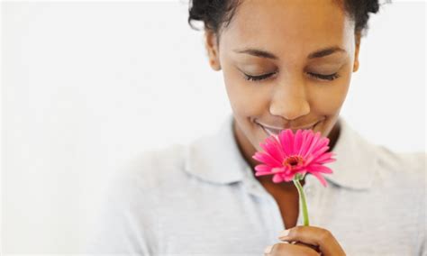 Darius Build Flowers That Smell Good For A Year They Are Not Roses