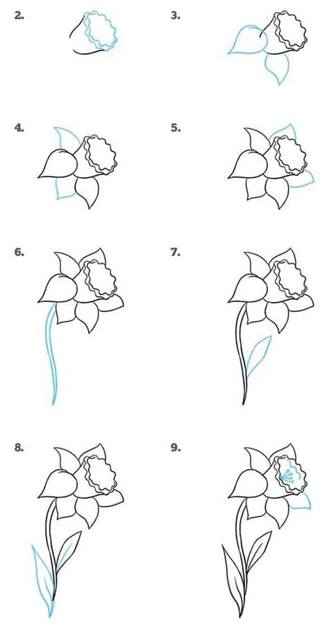 Tim van de vall created: 10 Realistic Flower Drawings Step by Step - Easy Drawing Tutorials