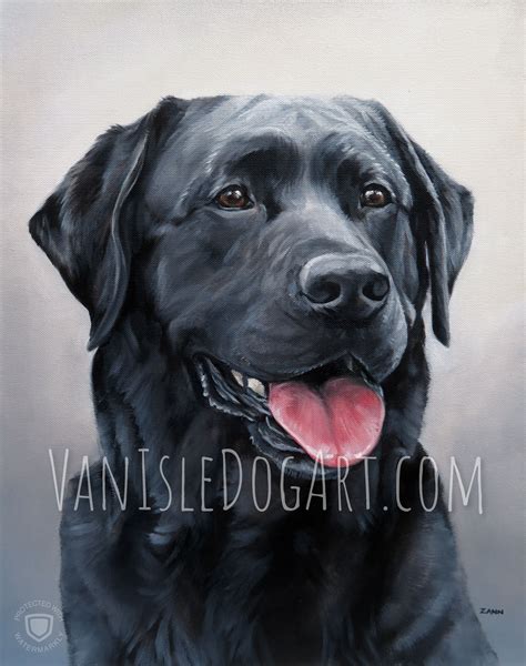Painted Portrait Of A Black Labrador Retriever Labrador Retriever Art