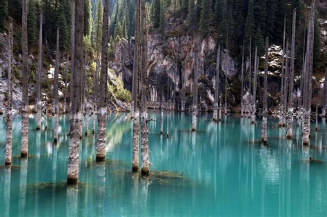 Sunken Forest Of Lake Kaindy · Kazakhstan Travel And Tourism Blog
