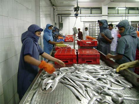 Exporters Of Frozen Seafood From India Catching Area Fao 51 And 57