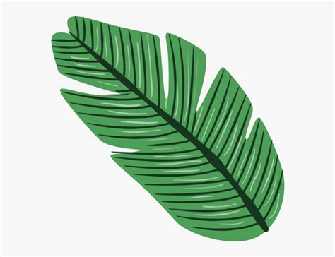 Tropical Leaves Png Vector Transparent Png Transparent Png Image