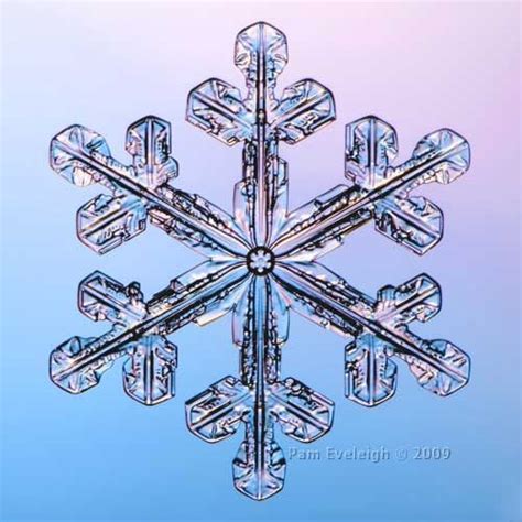 Sc9574 Snowflakes Real Snowflake Photos Winter Snowflakes