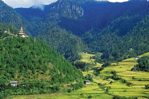 Can Bhutan Maintain 60 Of Its Land Under Forest Cover Business Bhutan