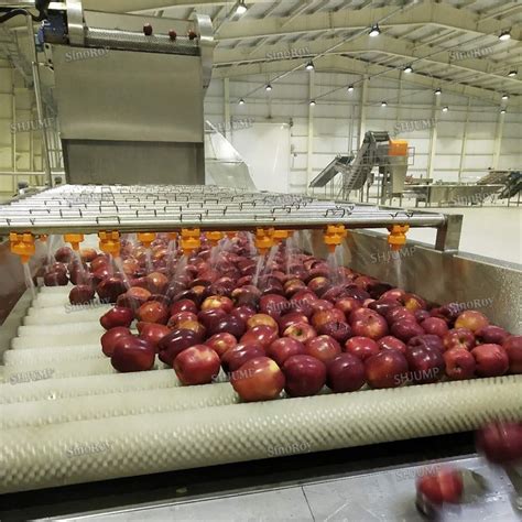 Apple Juice Processing Line Apple Juice Production Line China Apple