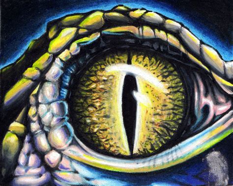 Alligator Eye By Tattoos By On Deviantart Eye