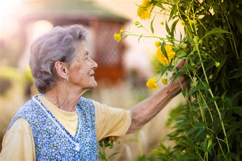 Alzheimer 7 Terapias Para Mejorar La Calidad De Vida