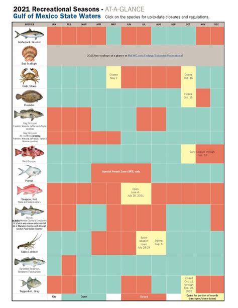 Florida Fishing Regulations Licenses And Best Fishing Season