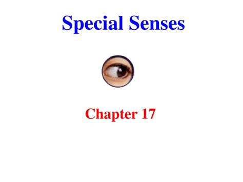 Ppt Special Senses Powerpoint Presentation Free Download Id6880988