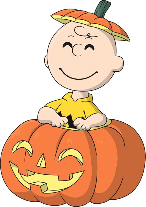Pumpkin Patch Charlie Brown Youtooz Collectibles